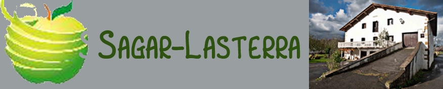 XIII. SAGAR LASTERRA HERRI LASTERKETA