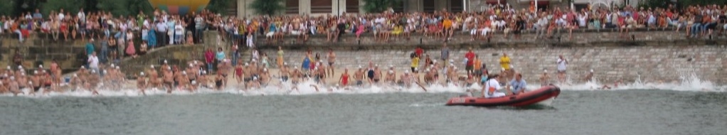 XVI TRAVESÍA DE LA BAHÍA DEL TXINGUDI