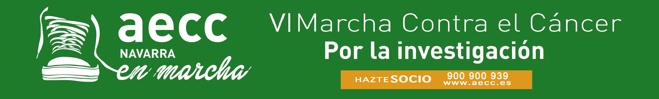 VI Marcha Navarra Contra el Cáncer