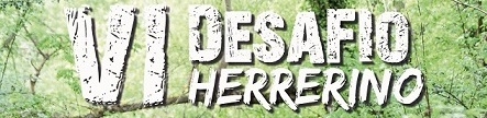 VI DESAFIO HERRERINO