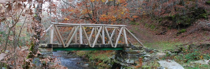 Las Fuentes del Rio Pedroso (Barbadillo de Herreros)