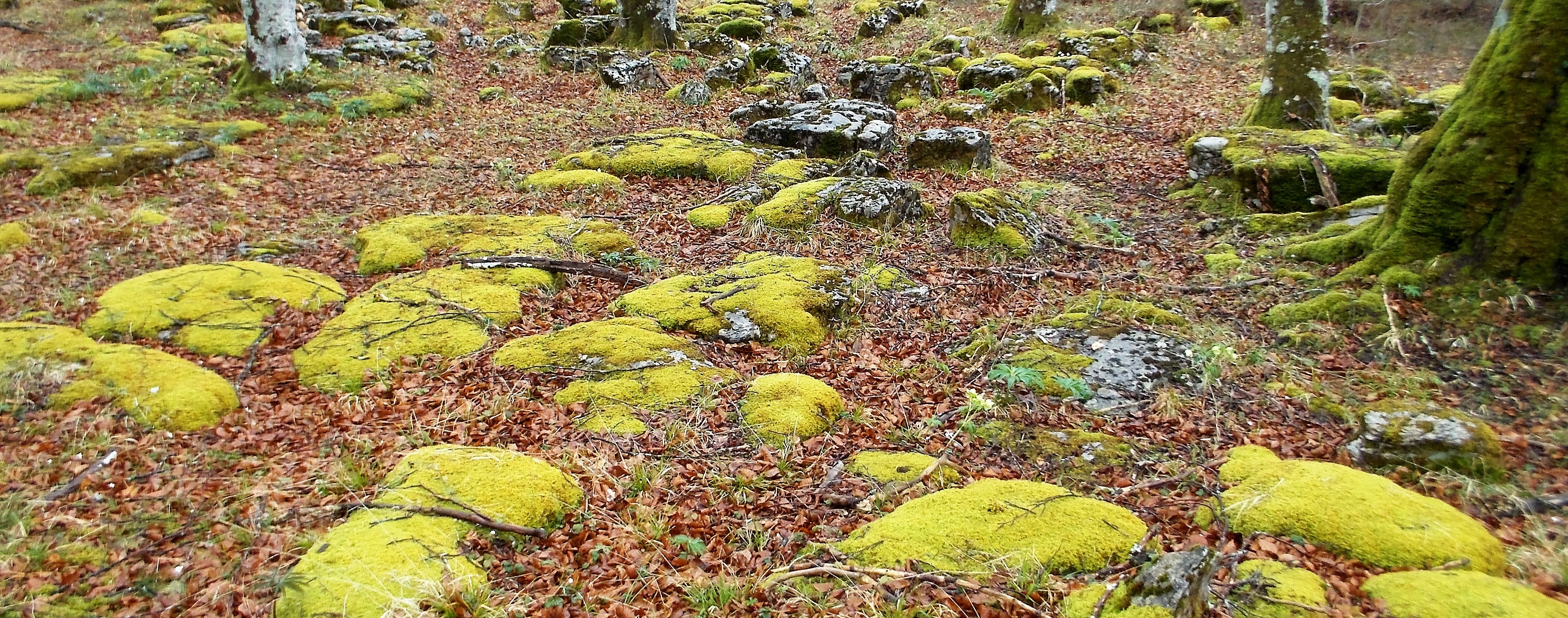 OKA RACE DESAFIO NANCLARES