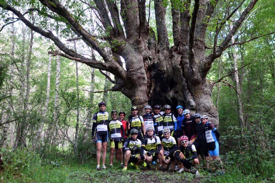 3 BTT VILLA DE OION