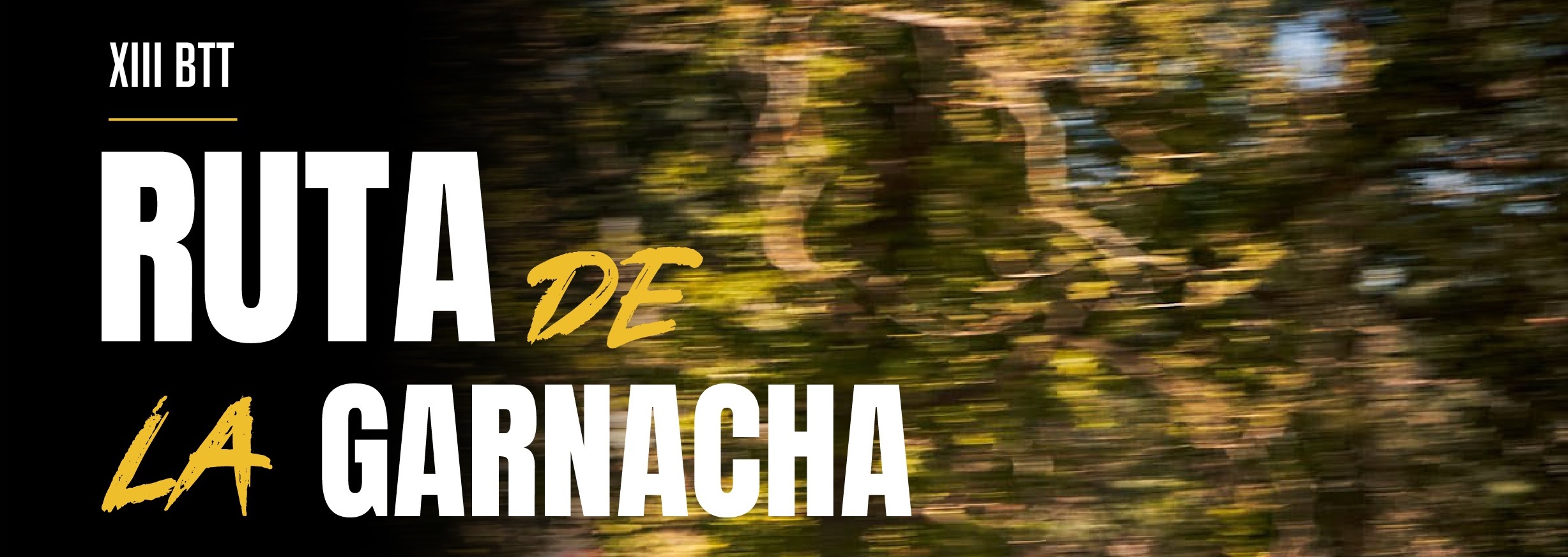 XIII BTT RUTA DE LA GARNACHA - BORJA