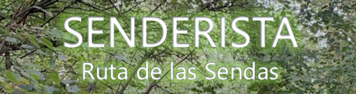 Sponsor