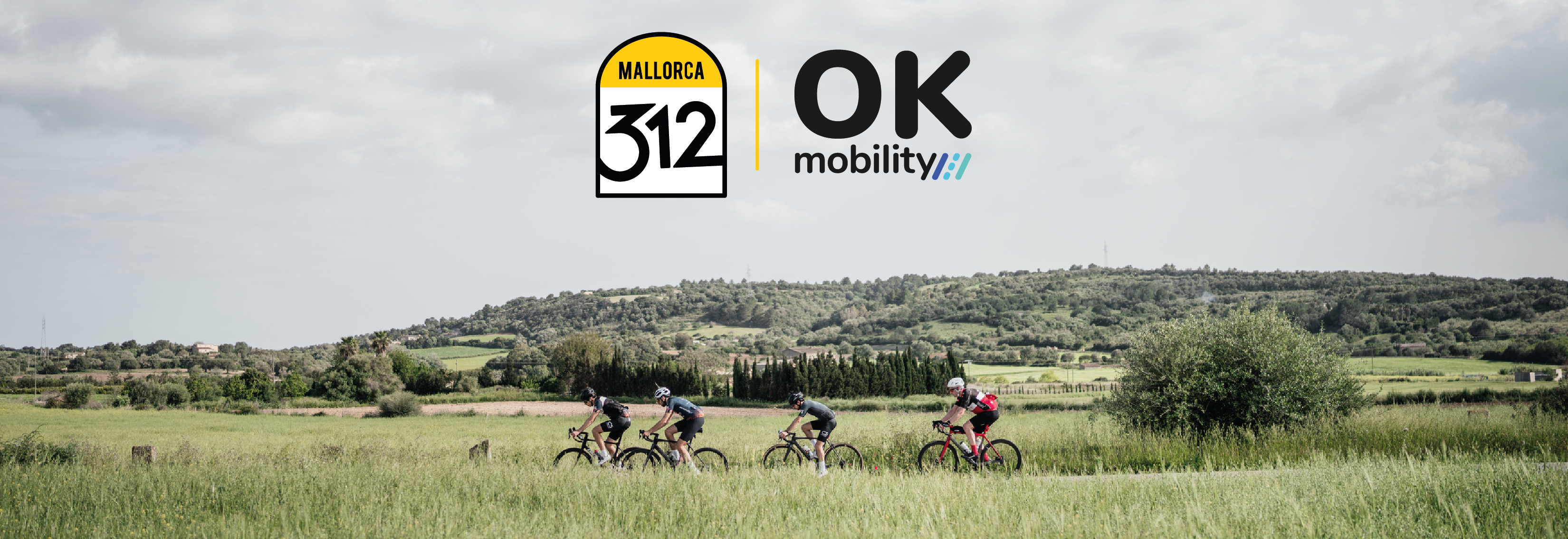 MALLORCA 312 OK MOBILITY 2027