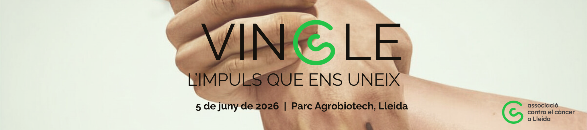 Vincle: L