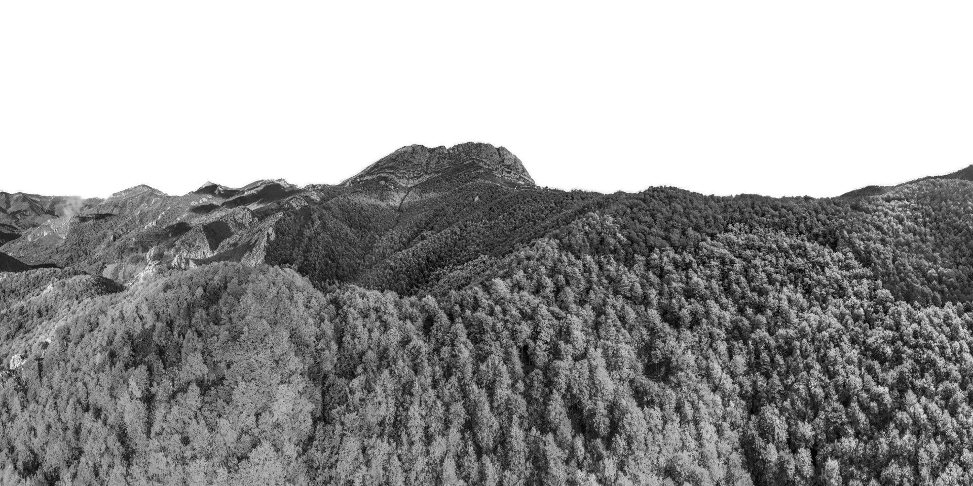 Seronda Redes Trail
